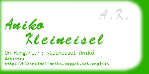 aniko kleineisel business card